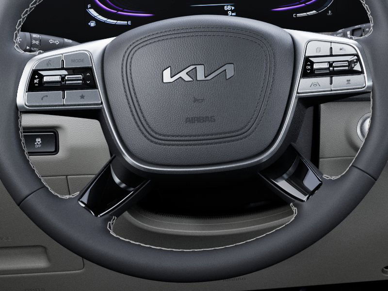 New 2025 Kia Telluride EX image 22