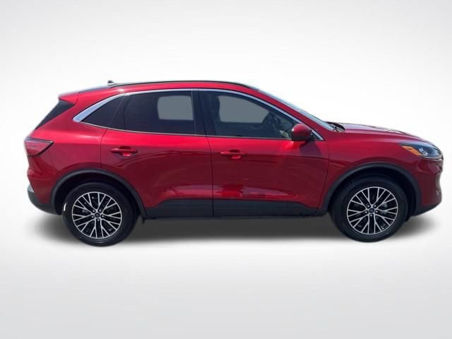 Used 2022 Ford Escape SEL w/ Technology Package image 6