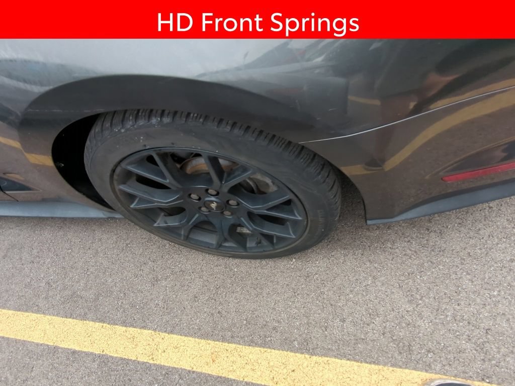 Used 2019 Ford Mustang Premium w/ Ecoboost Performance Package RWD image 5