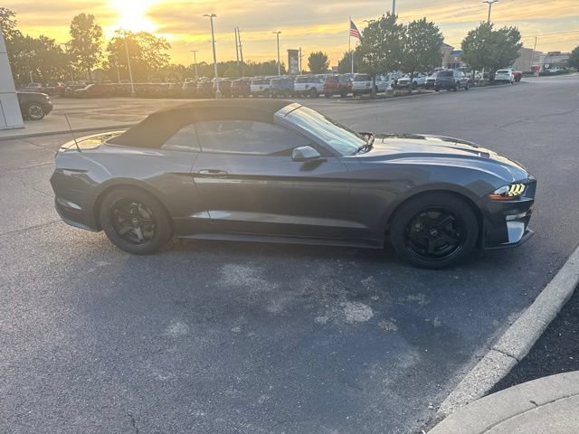 Used 2018 Ford Mustang Premium RWD image 6