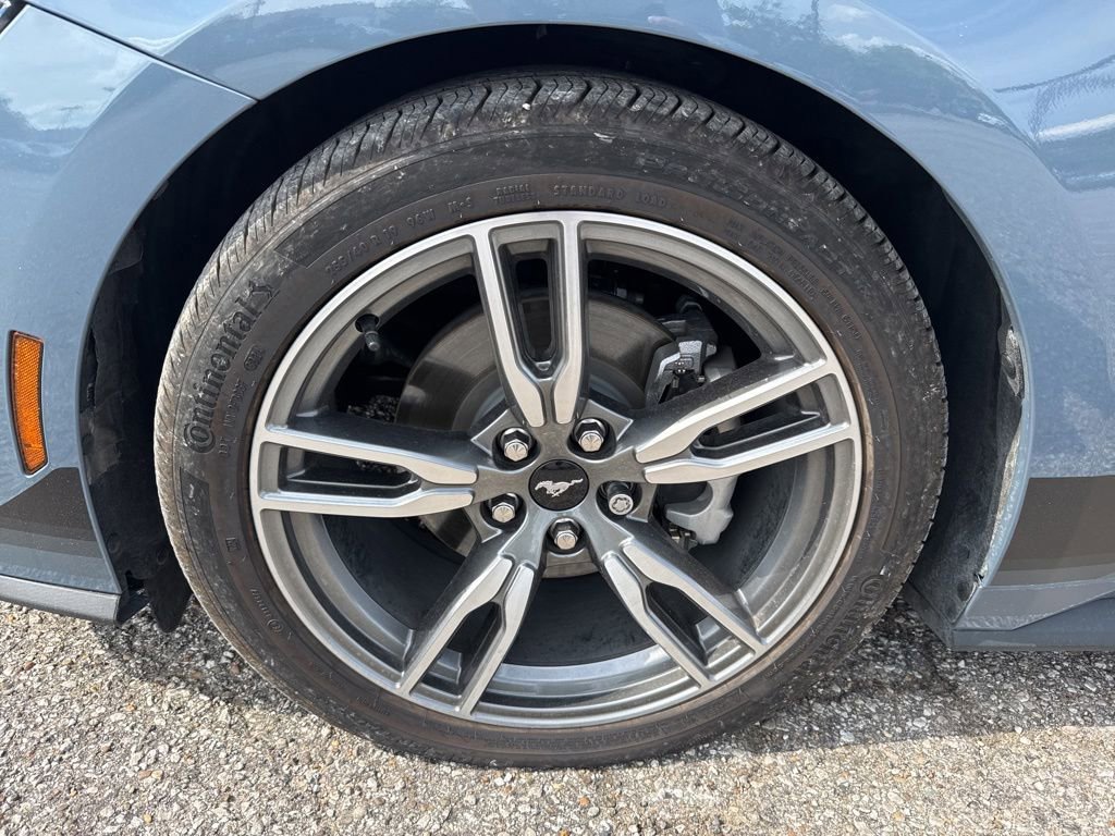 Used 2025 Ford Mustang Premium w/ Wheel & Stripe Package RWD image 2