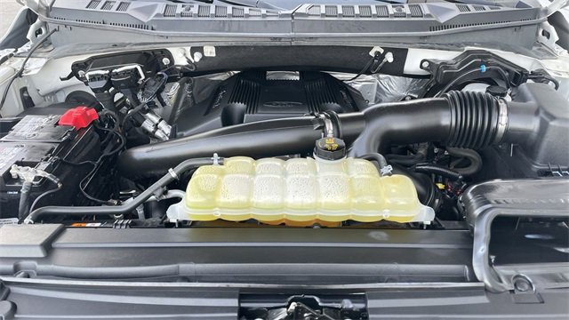 Used 2019 Ford F150 XLT w/ Equipment Group 301A Mid image 24