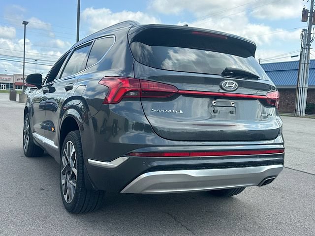 Used 2023 Hyundai Santa Fe Calligraphy AWD/4WD image 3