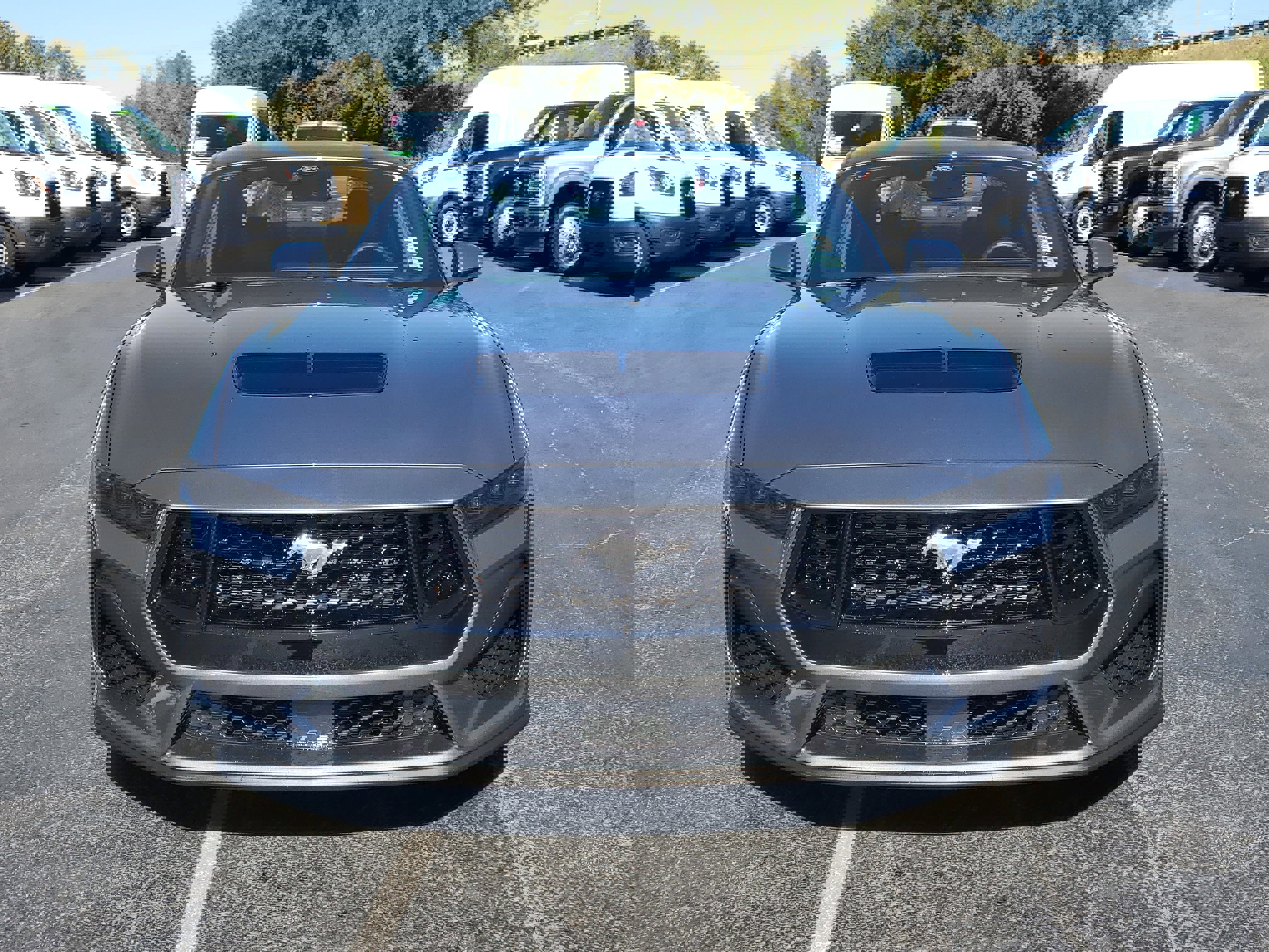 Used 2025 Ford Mustang GT Premium image 2