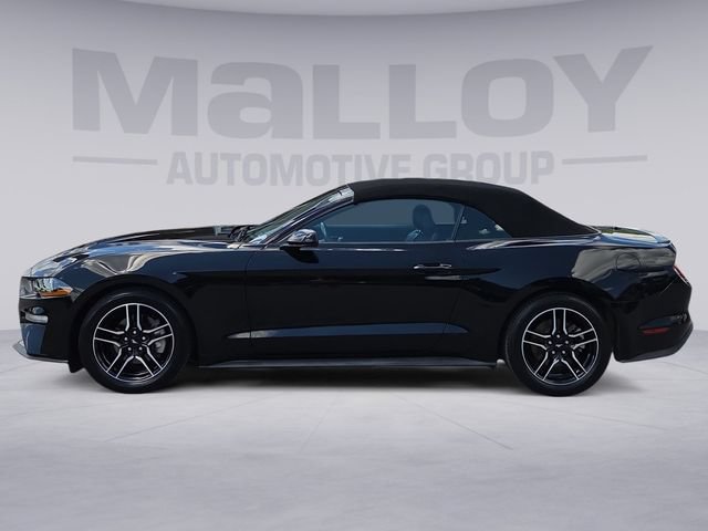 Used 2023 Ford Mustang Premium RWD video 2