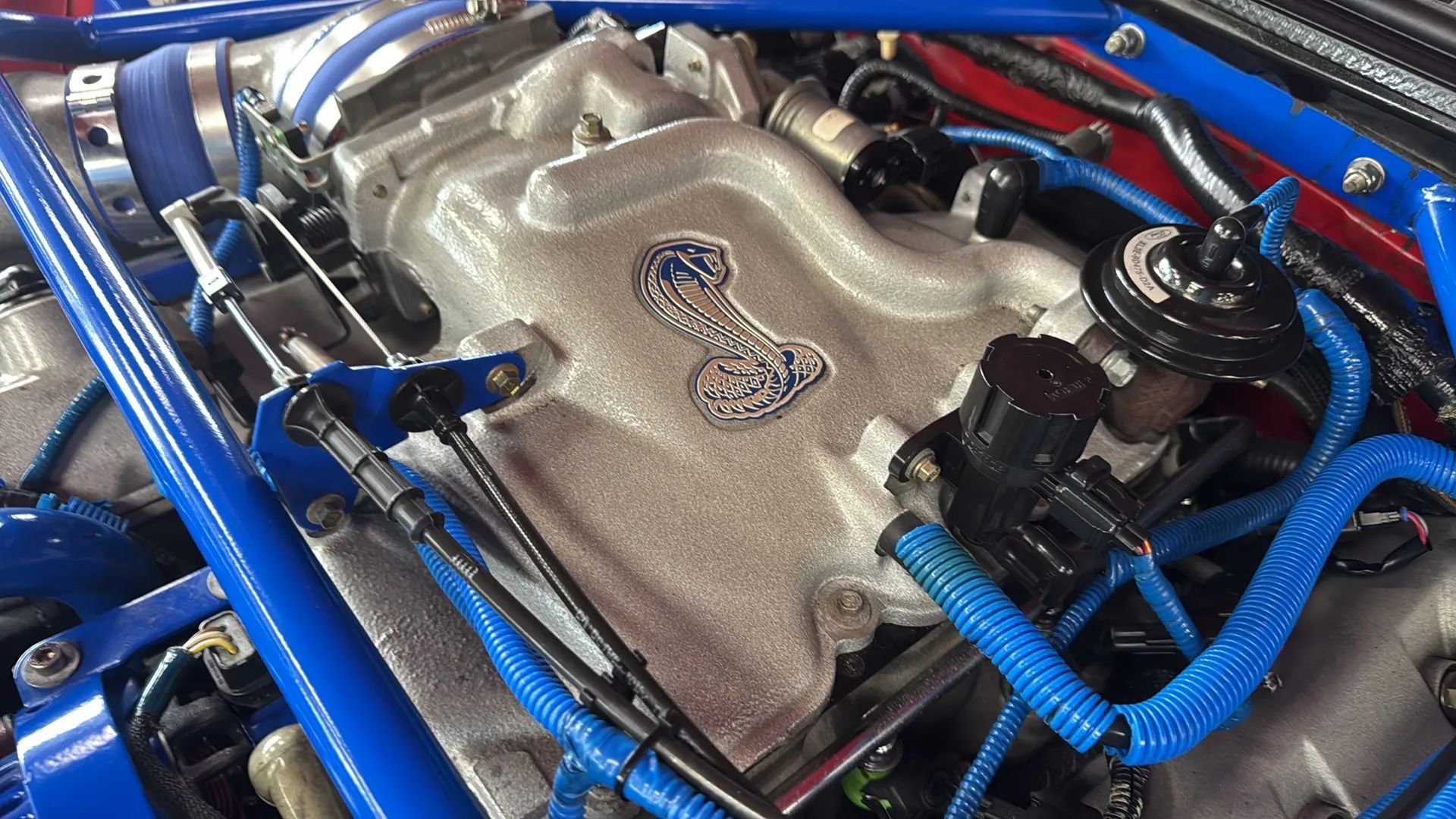 Used 1999 Ford Mustang Cobra RWD image 52