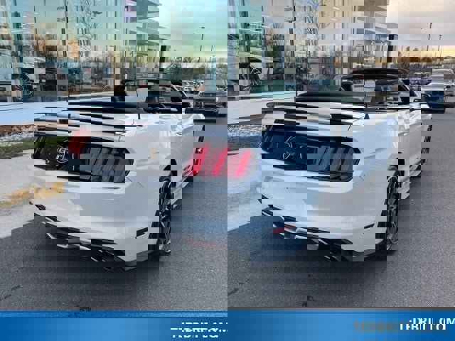 Used 2017 Ford Mustang GT Premium w/ Equipment Group 401A image 8