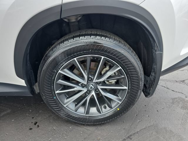 Certified 2024 Lexus NX 350h AWD w/ Cold Area Package image 34