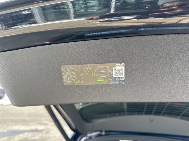 New 2025 Audi RS Q8 performance image 18