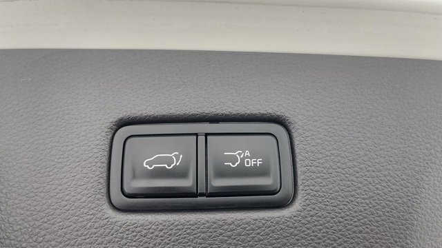 Used 2024 Kia Carnival SX image 49