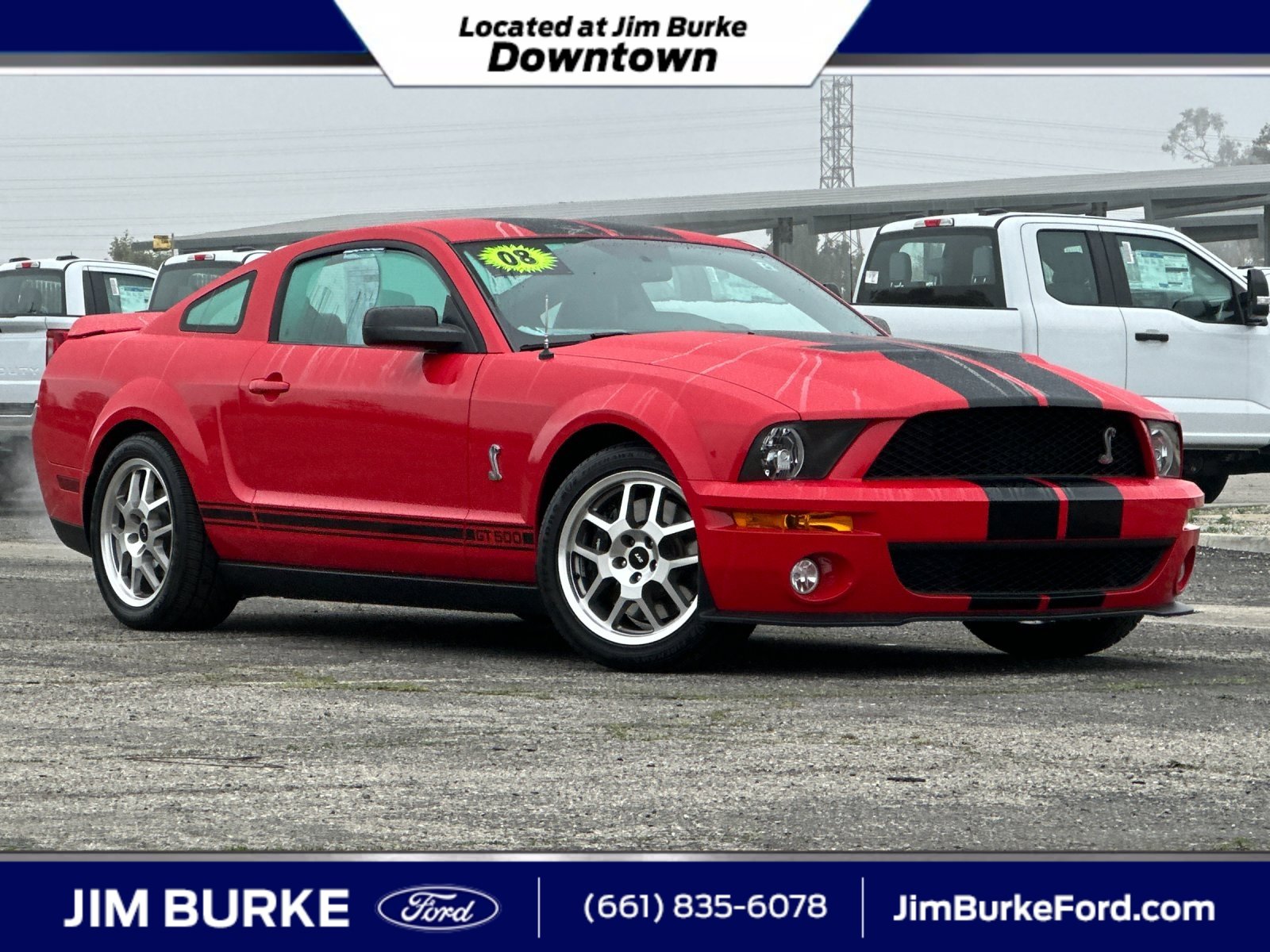 Used 2008 Ford Mustang Shelby GT500 video 1
