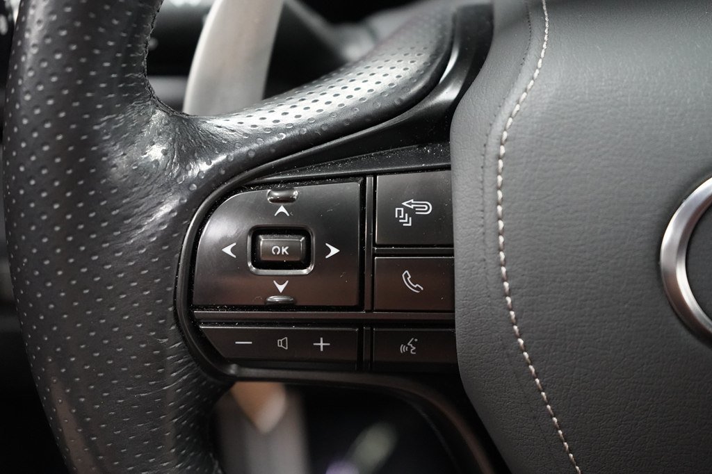 Used 2018 Lexus LC 500 Coupe w/ Touring Package RWD image 15