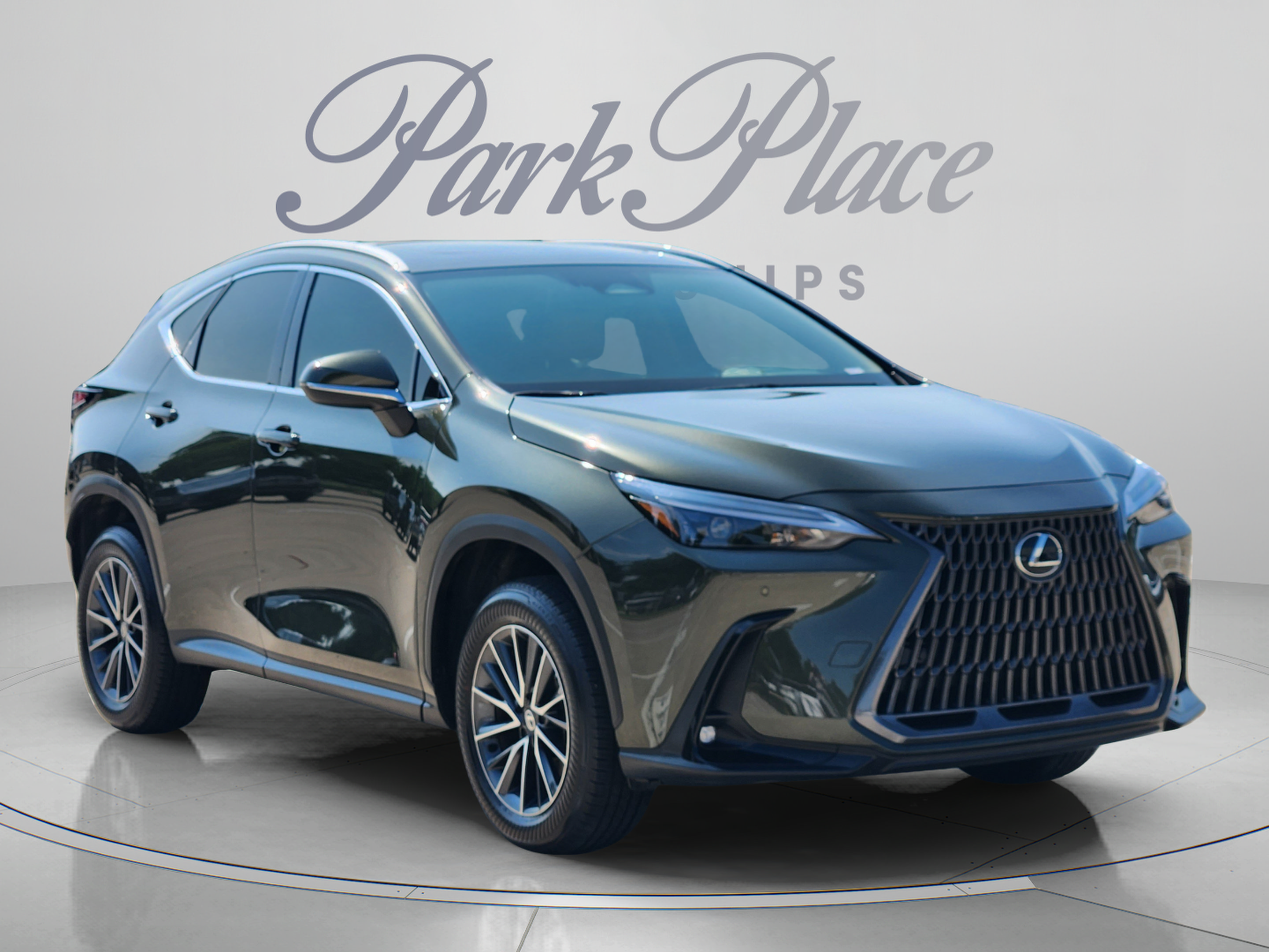 Certified 2026 Lexus NX 350 AWD w/ Cold Area Package image 6
