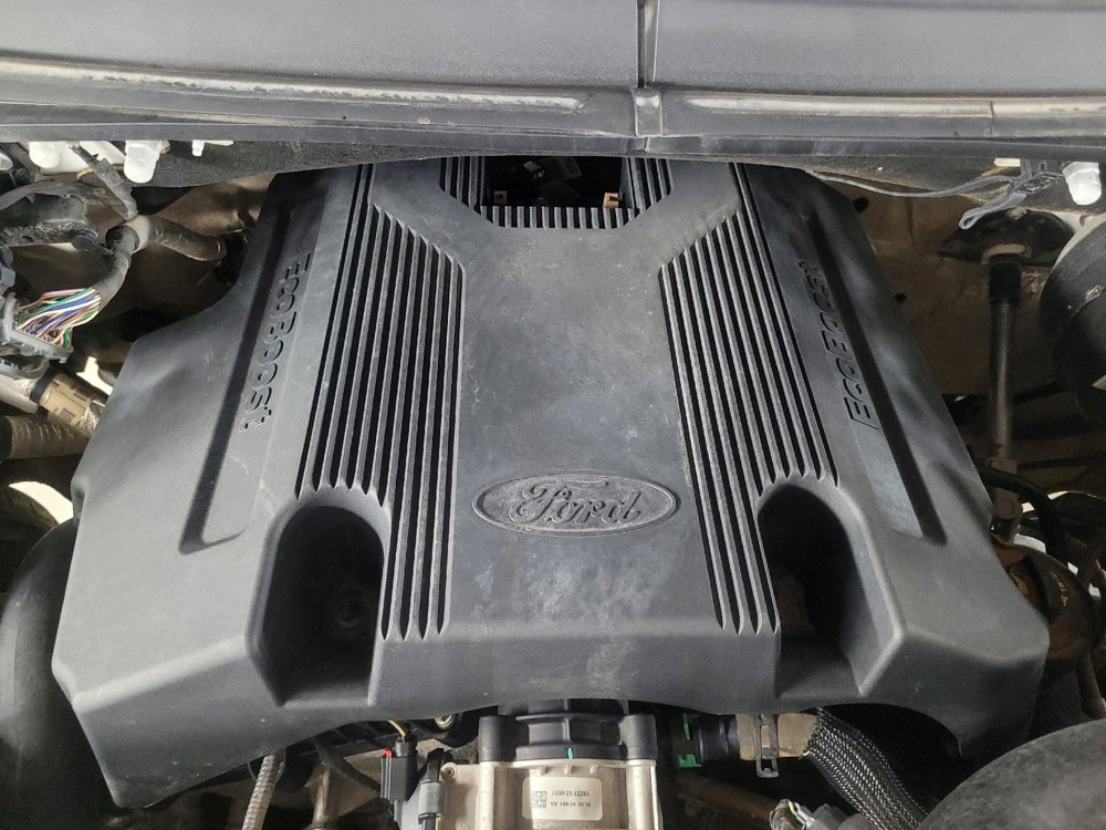 Used 2019 Ford F150 XLT w/ Equipment Group 301A Mid image 30