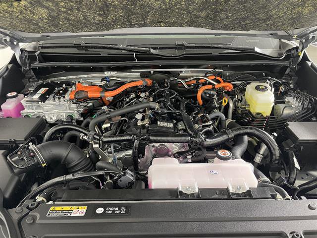 New 2026 Toyota 4Runner Platinum image 21