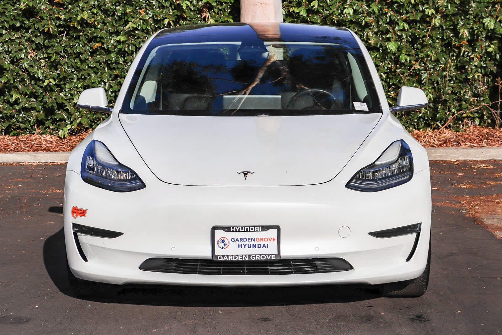 Used 2020 Tesla Model 3 Standard Range Plus RWD image 2