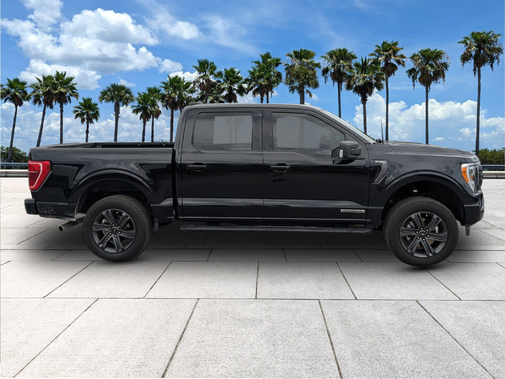 Used 2023 Ford F150 XLT w/ Equipment Group 302A High AWD/4WD image 9