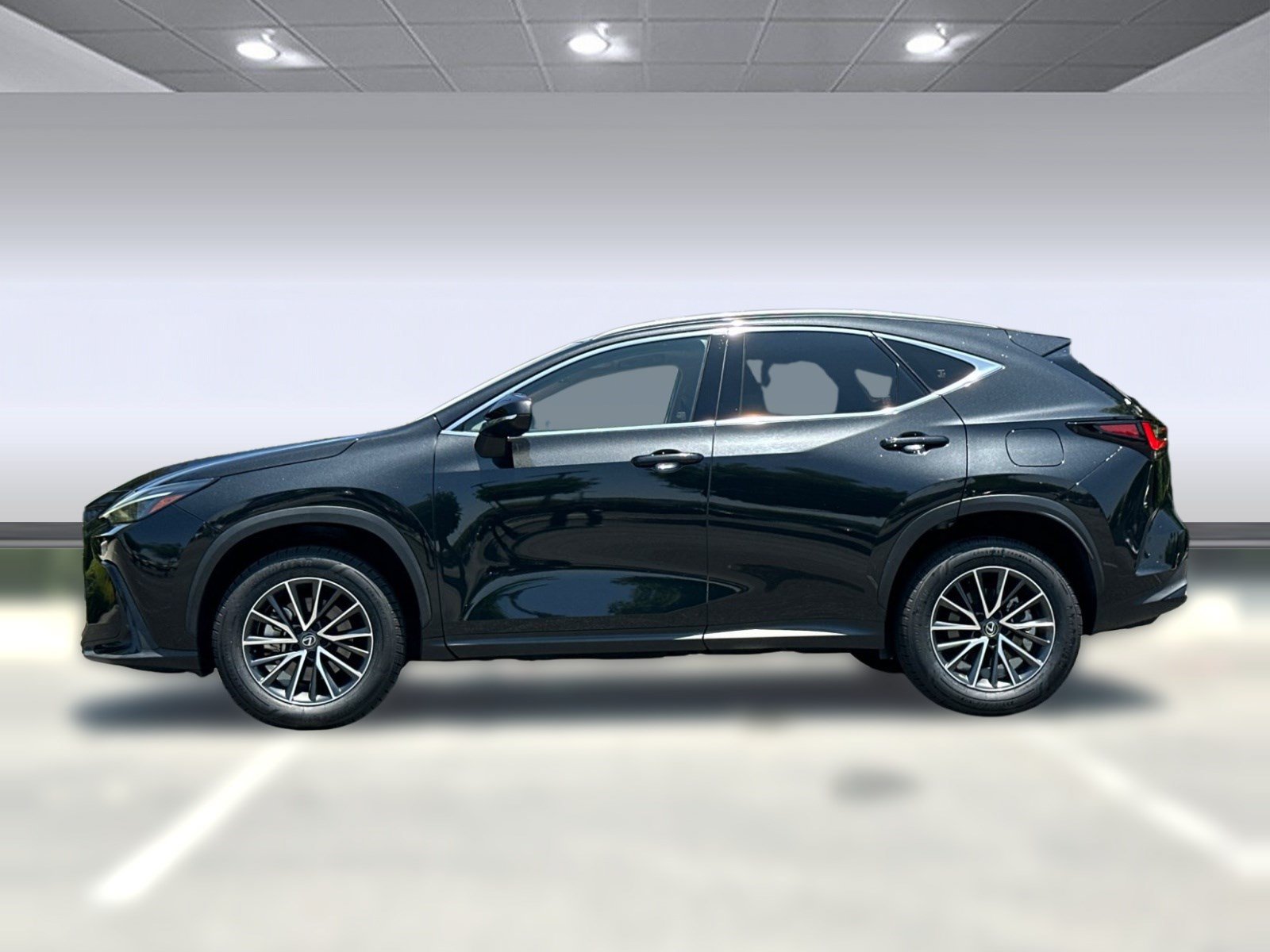 Certified 2024 Lexus NX 350h AWD image 2