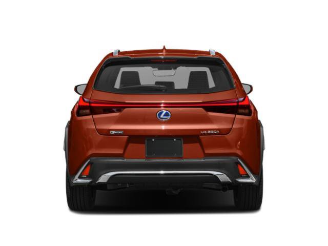 Used 2020 Lexus UX 250h F Sport w/ F Sport Premium Package image 5