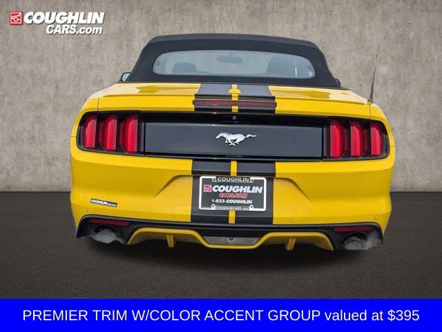 Used 2017 Ford Mustang Premium w/ Equipment Group 201A image 7