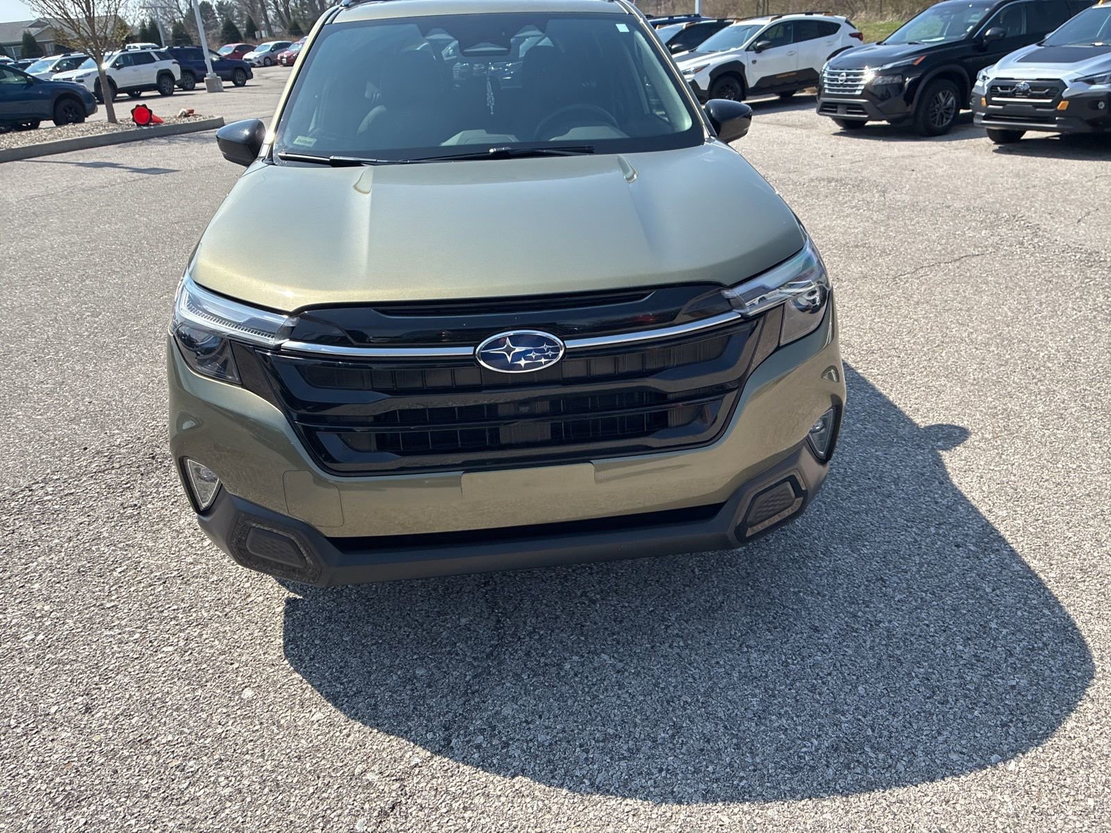 Certified 2025 Subaru Forester Touring image 5