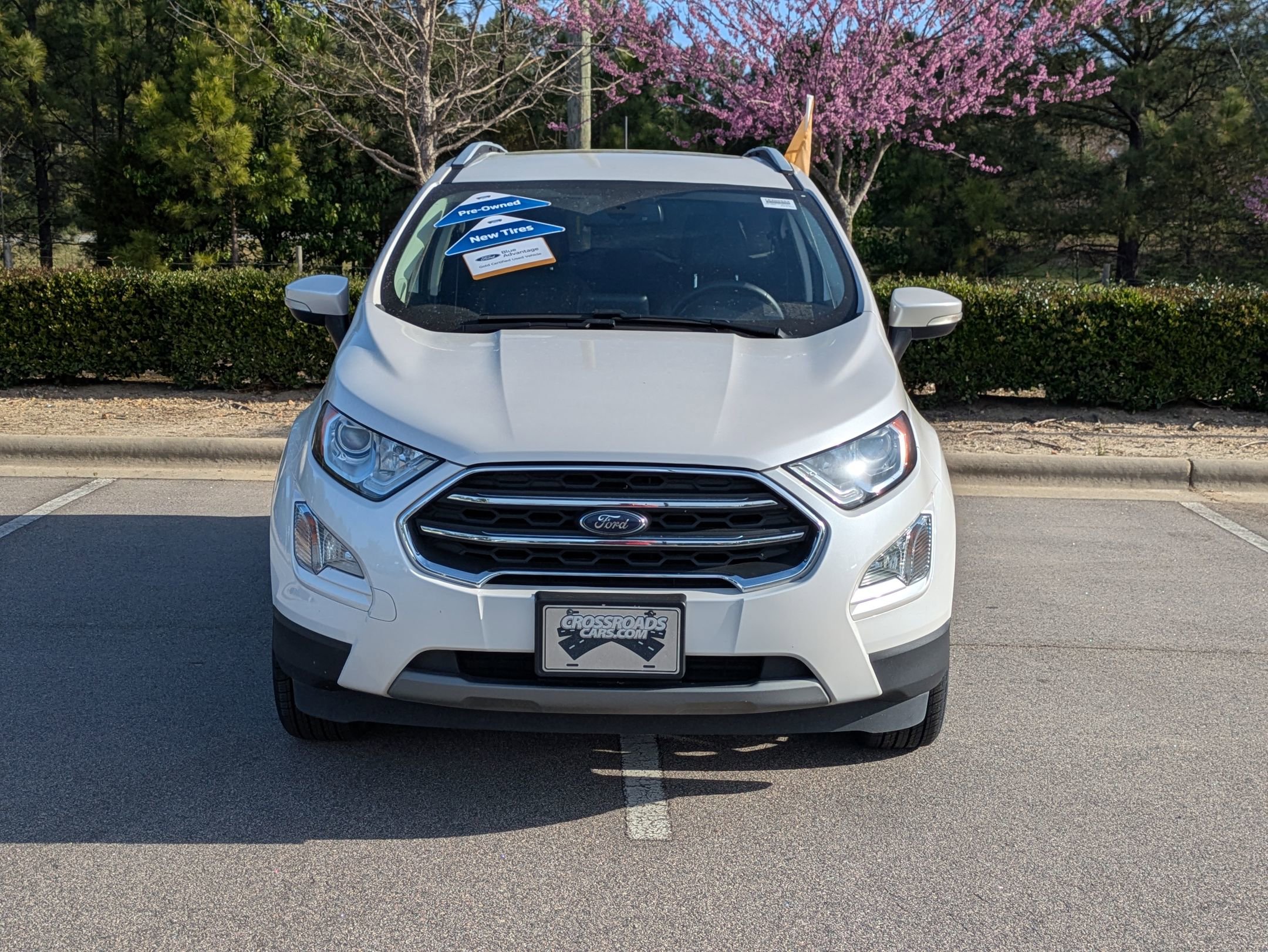 Used 2021 Ford EcoSport Titanium image 9