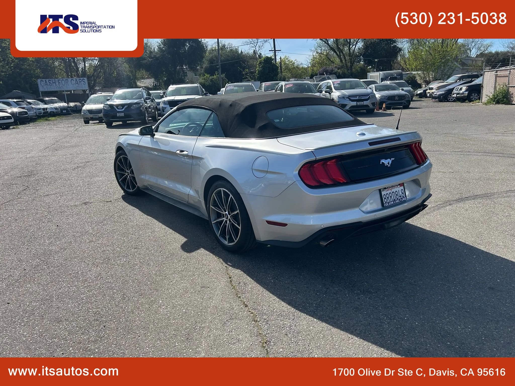 Used 2019 Ford Mustang Premium w/ Equipment Group 201A image 21