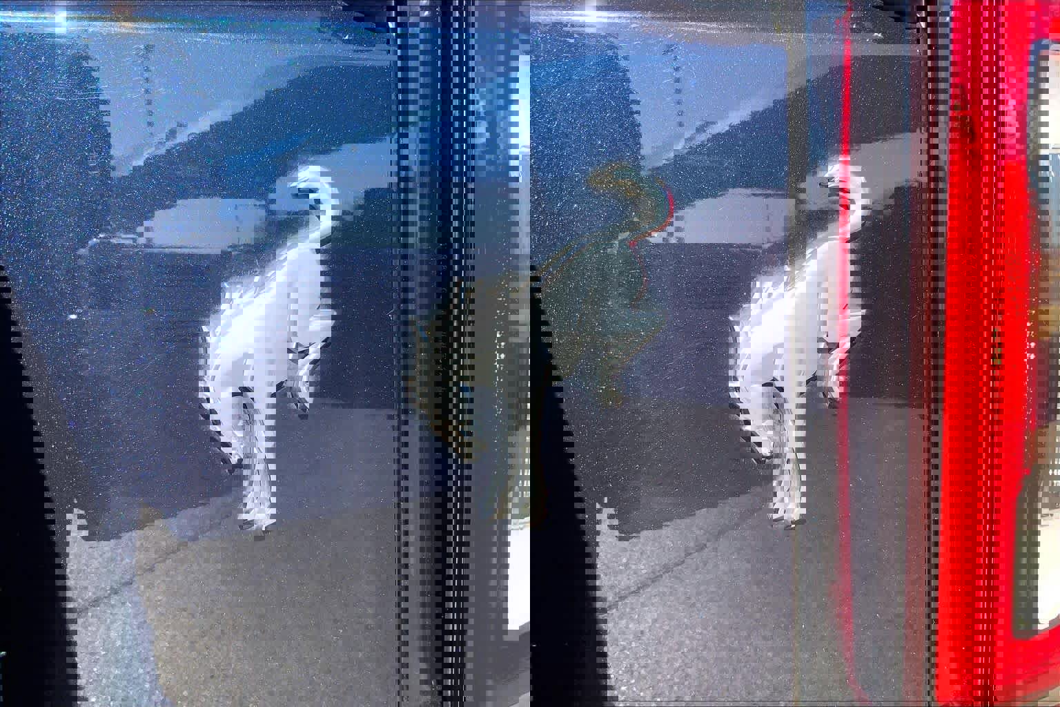 Used 2021 Ford Bronco Outer Banks image 31