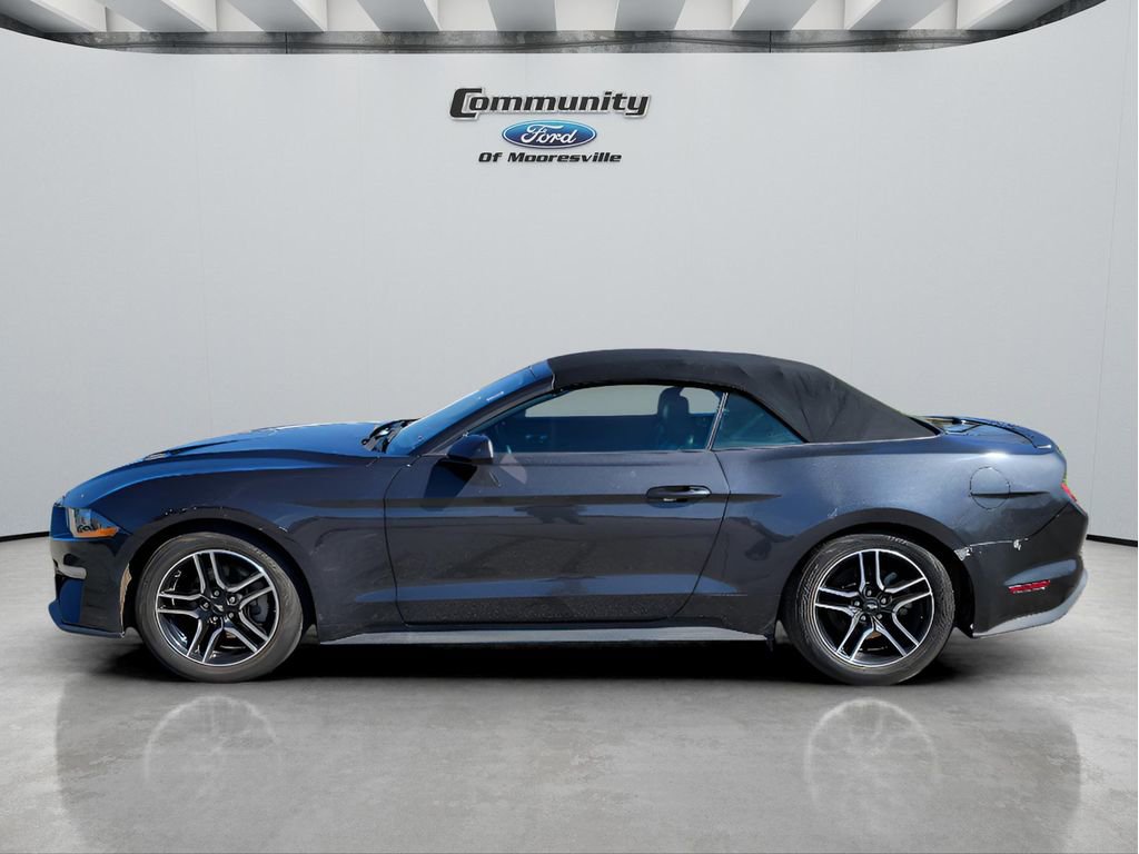 Used 2023 Ford Mustang Premium image 5