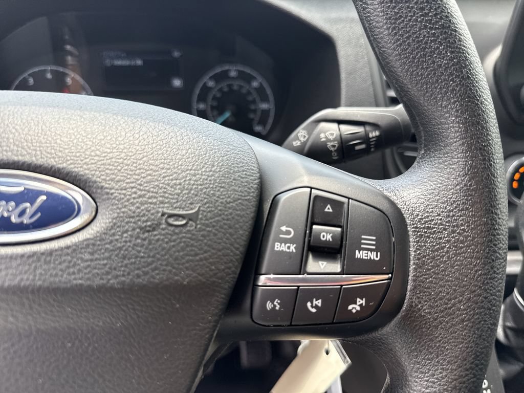 Used 2025 Ford Transit 250 Low Roof w/ Exterior Upgrade Package RWD image 21
