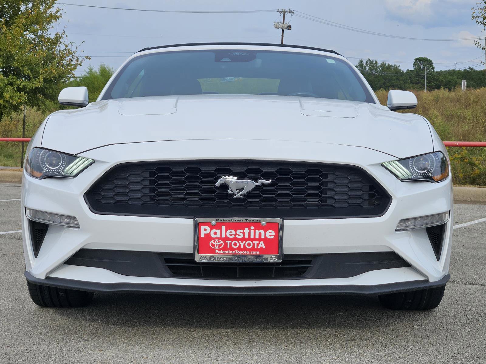 Used 2023 Ford Mustang Premium image 2