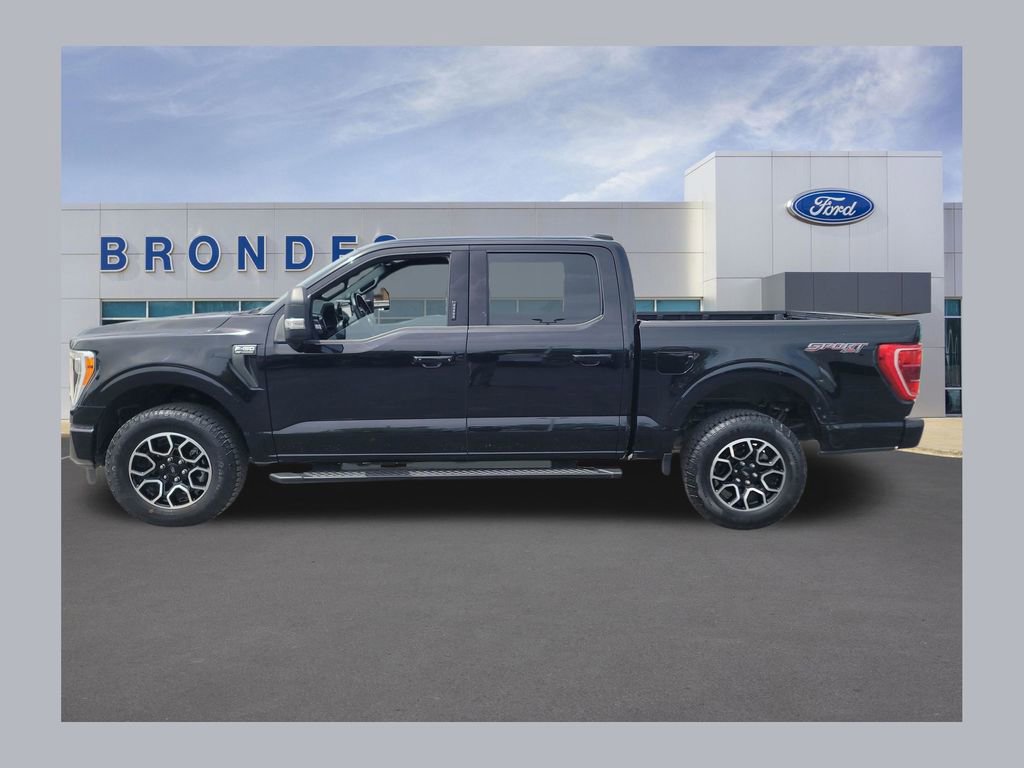 Used 2023 Ford F150 XLT w/ Equipment Group 302A High AWD/4WD image 1