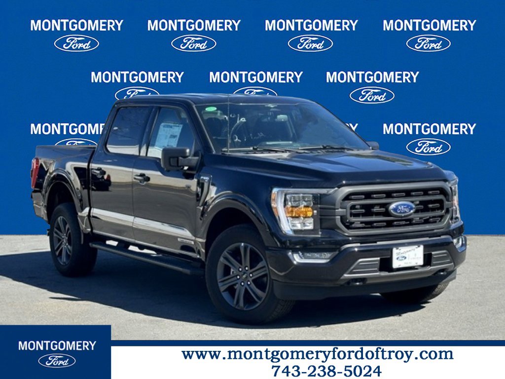 New 2023 Ford F150 XLT w/ Equipment Group 302A High
