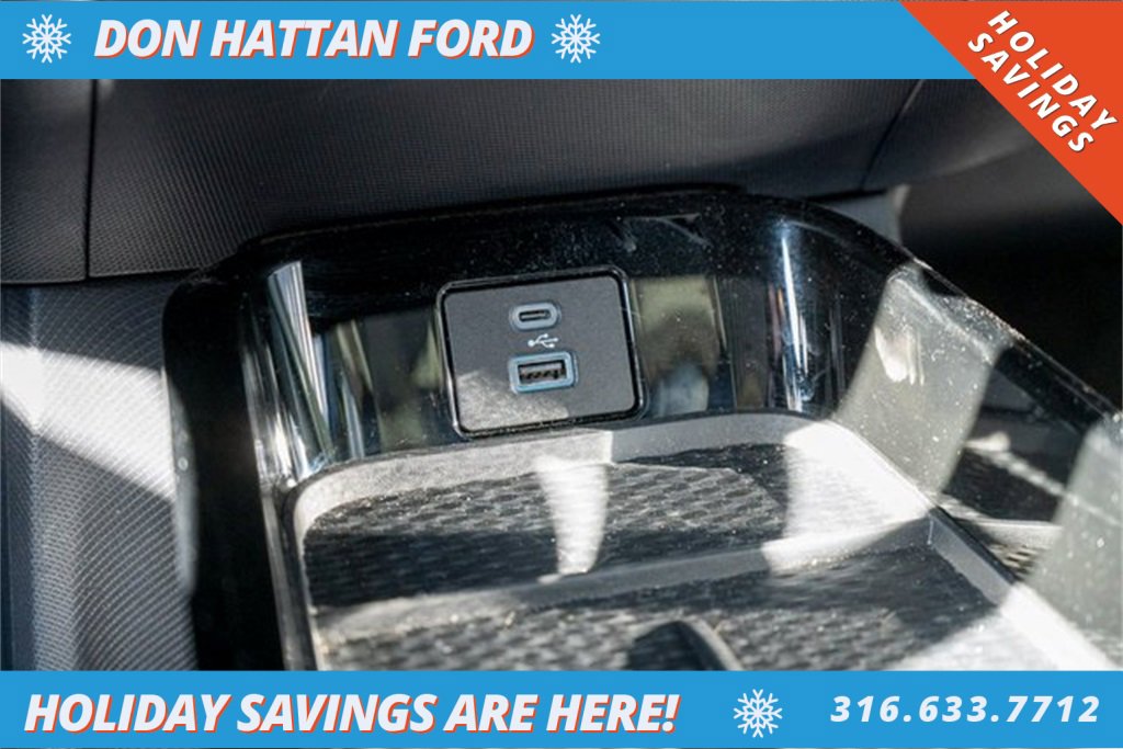 Used 2021 Ford Mustang Mach-E Premium image 14