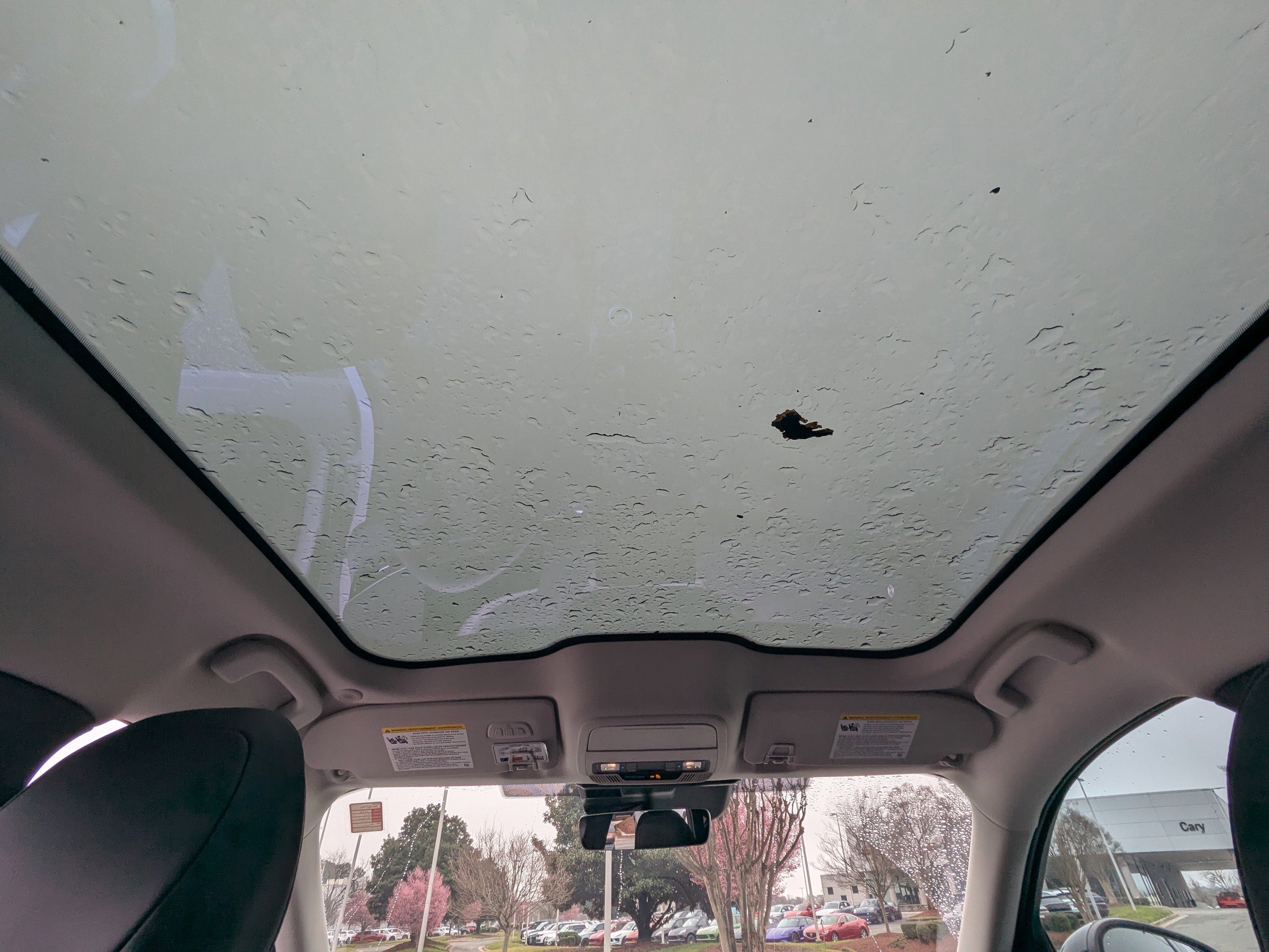 Used 2023 Ford Mustang Mach-E Premium w/ Mustang Nite Pony Package image 13