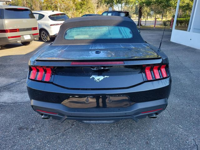 Used 2024 Ford Mustang Premium image 8