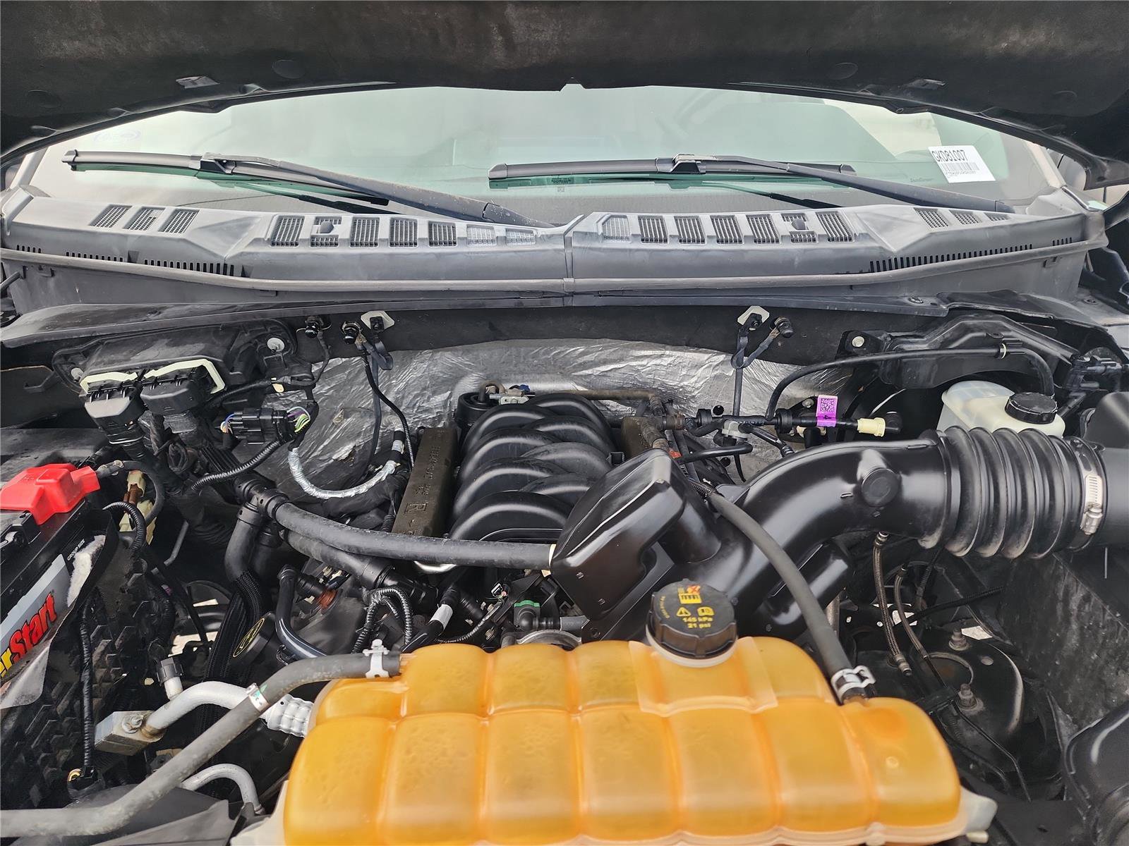 Used 2016 Ford F150 XLT image 13