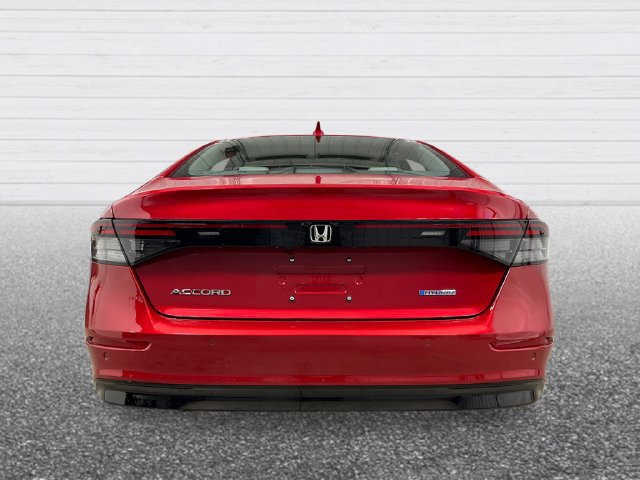 New 2026 Honda Accord EX-L image 4