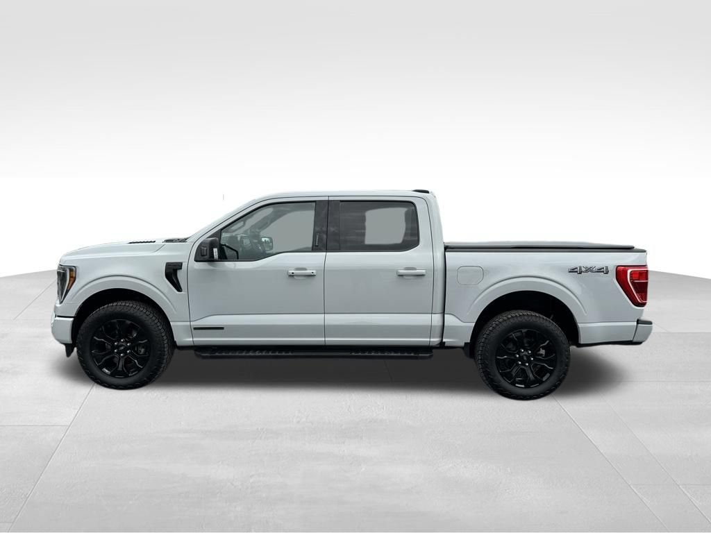 Used 2023 Ford F150 XLT w/ Equipment Group 302A High AWD/4WD image 13