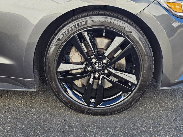 Used 2015 Ford Mustang Premium w/ Ecoboost Performance Package RWD image 11