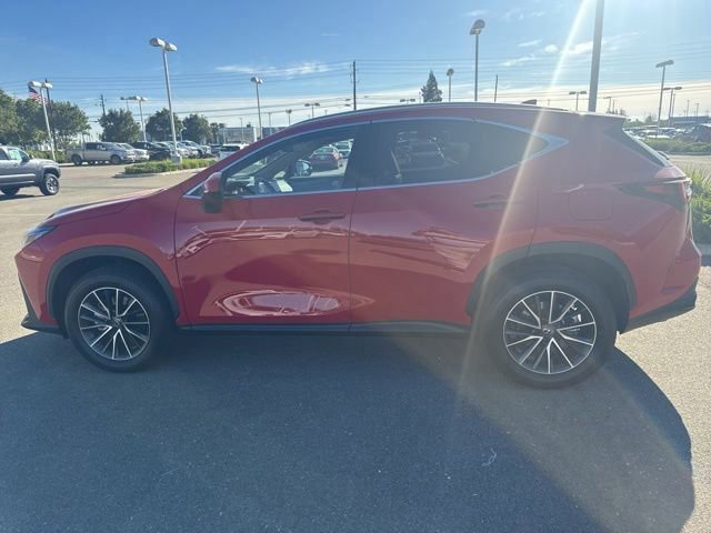 Used 2024 Lexus NX 350h AWD w/ Cold Area Package image 8