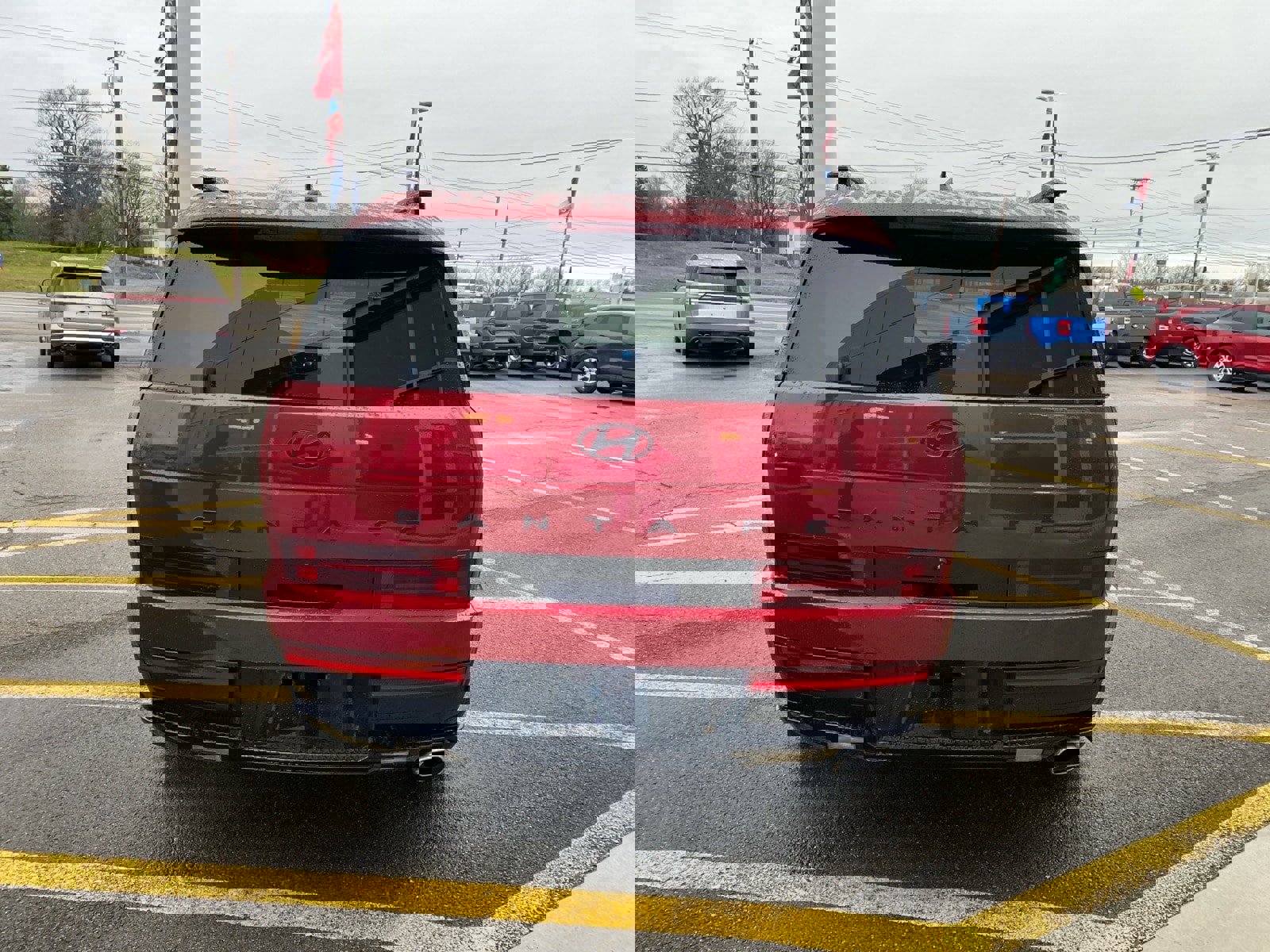 Used 2024 Hyundai Santa Fe Calligraphy image 4