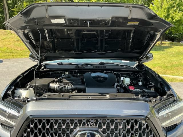 Used 2023 Toyota Tacoma Limited w/ Nightshade Package AWD/4WD image 20