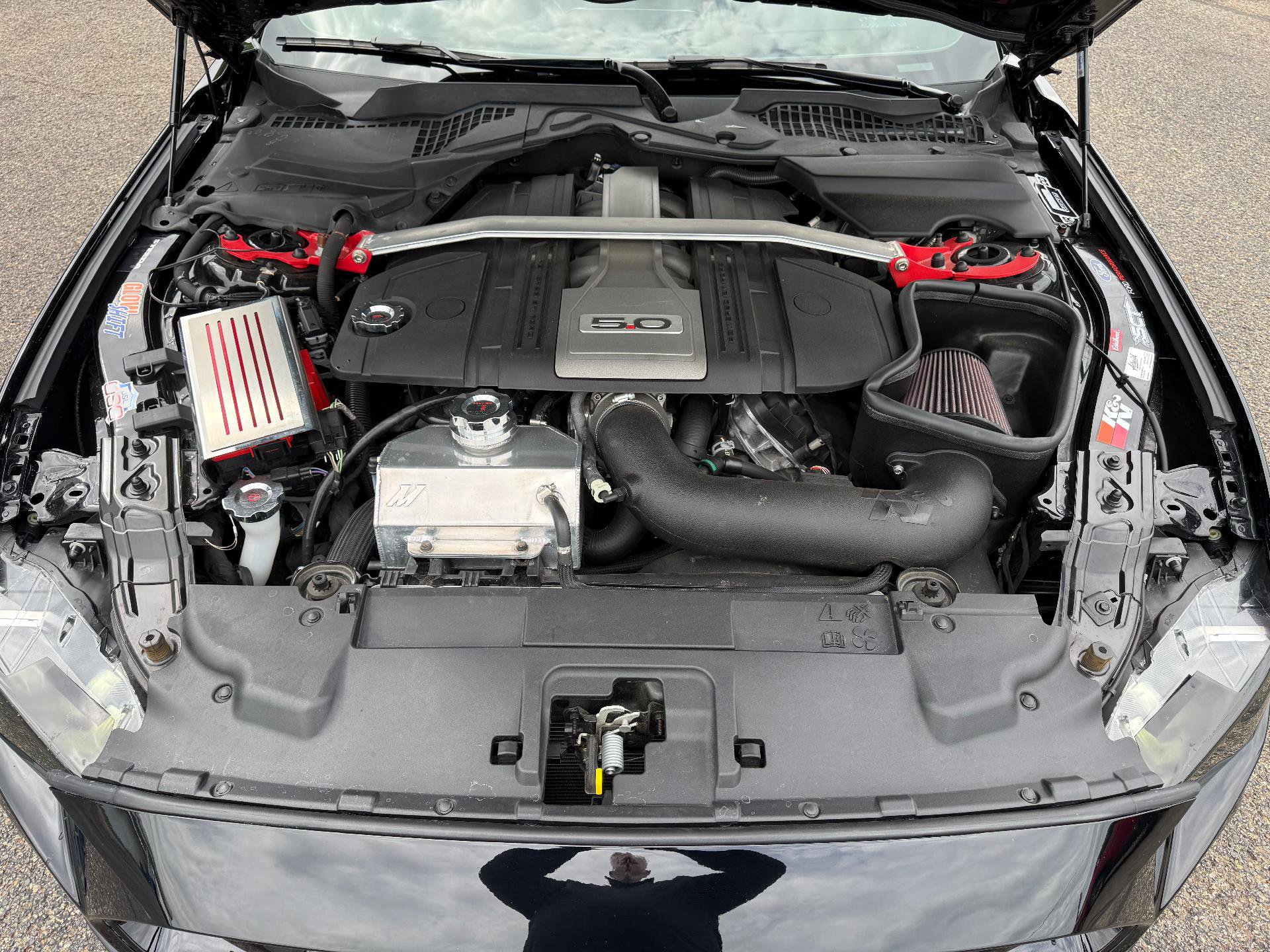 Used 2019 Ford Mustang GT Premium w/ Equipment Group 401A RWD image 11