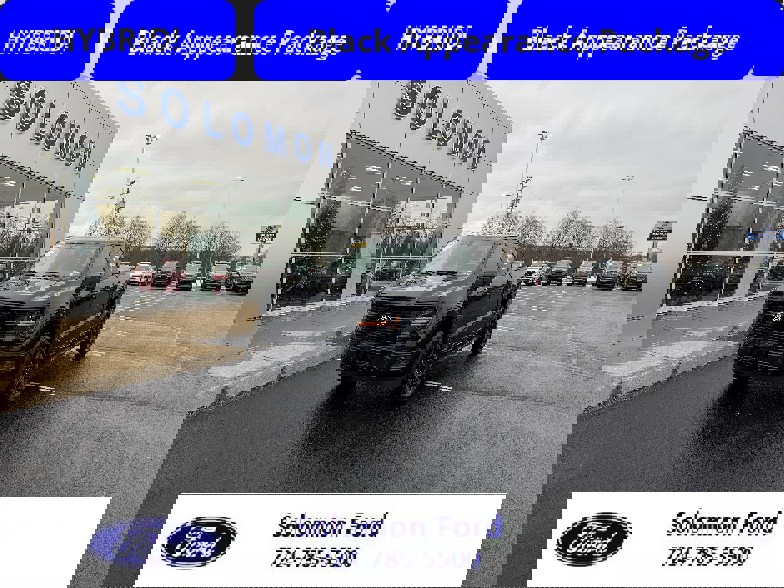 Certified 2025 Ford F150 XLT w/ Equipment Group 302A MID image 1