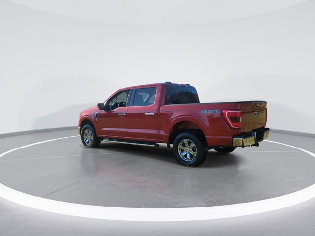 Used 2023 Ford F150 XLT w/ Equipment Group 302A High image 6