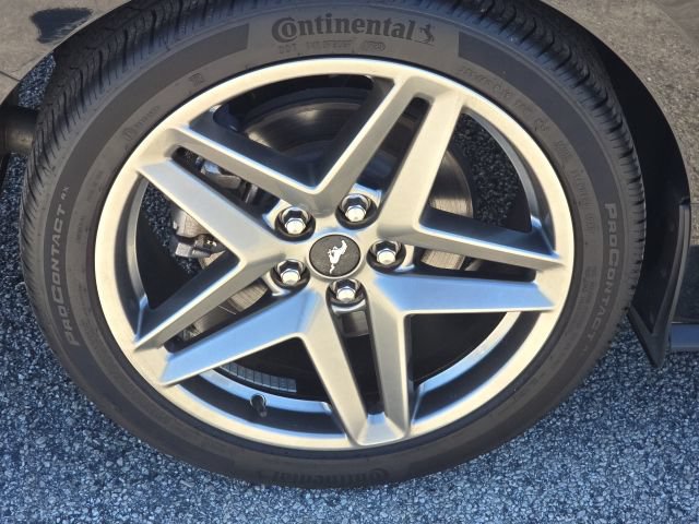 Used 2024 Ford Mustang Coupe RWD image 9