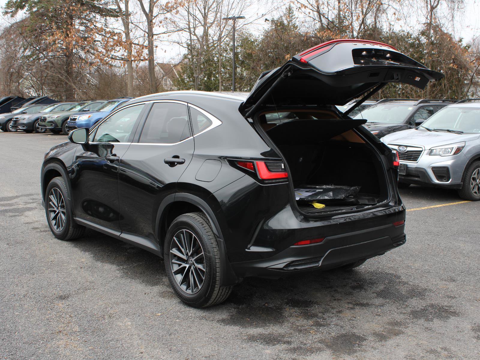 Used 2024 Lexus NX 350h AWD w/ Cold Area Package image 7
