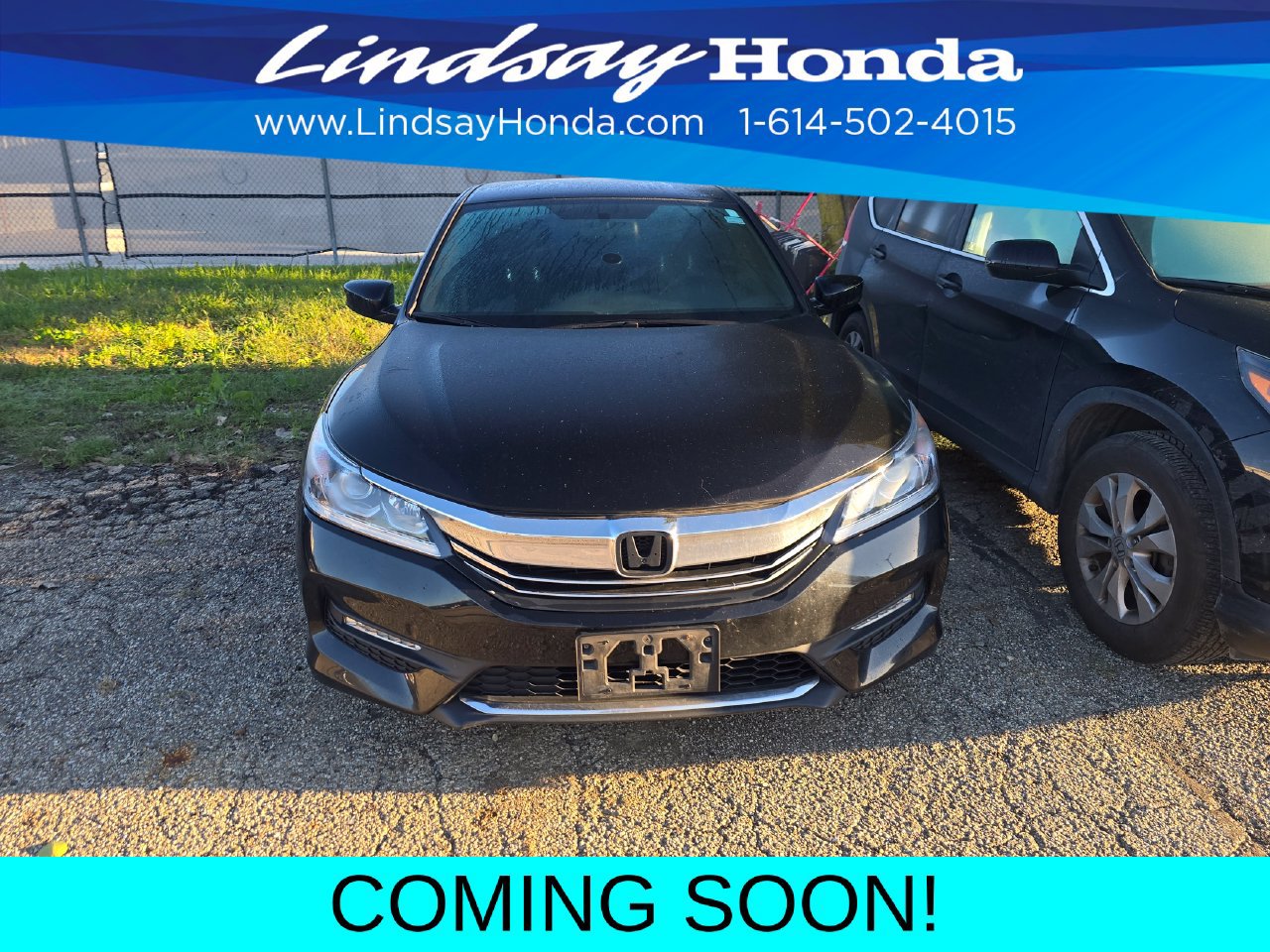 Used 2017 Honda Accord Sport image 2