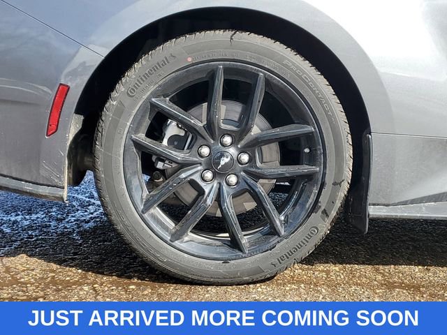 Used 2026 Ford Mustang Convertible w/ Mustang Nite Pony Package image 5